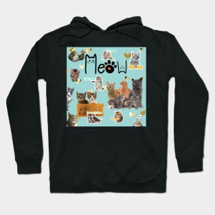 Meow Cats and Kittens Hoodie